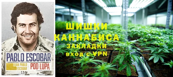 меф Гусев