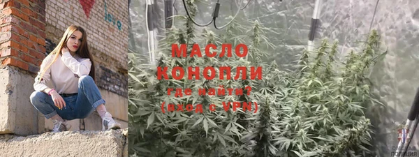 тгк Гусь-Хрустальный
