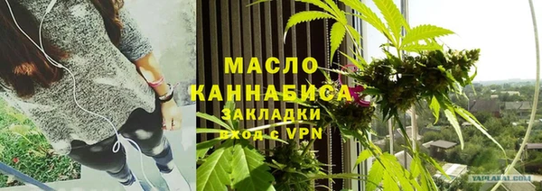 шишки Ельня