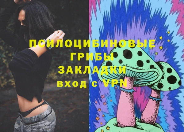 тгк Гусь-Хрустальный
